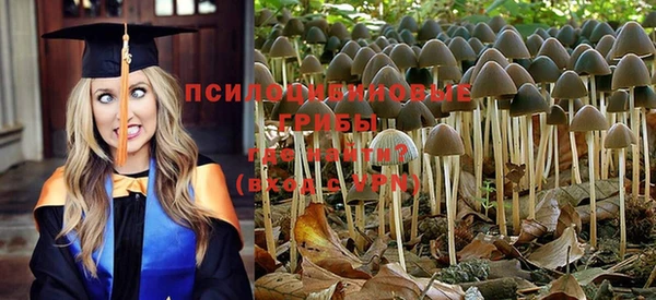 мдпв Куйбышев