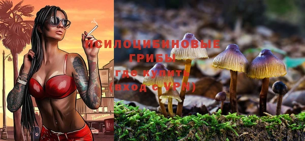 экстази Бронницы